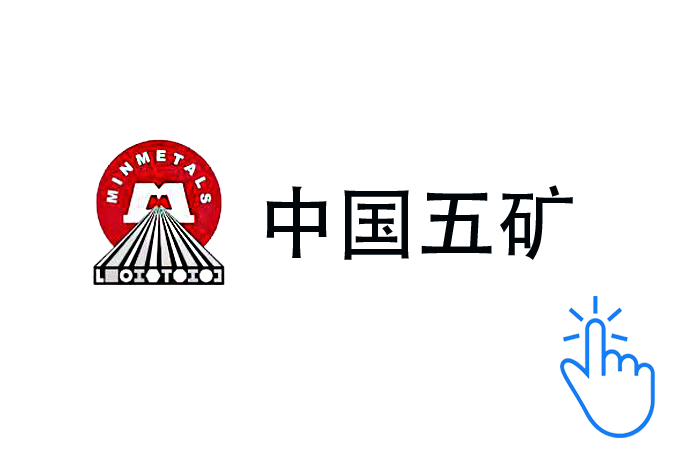 湖南有色国贸有限公司 （大型合作贸易商）